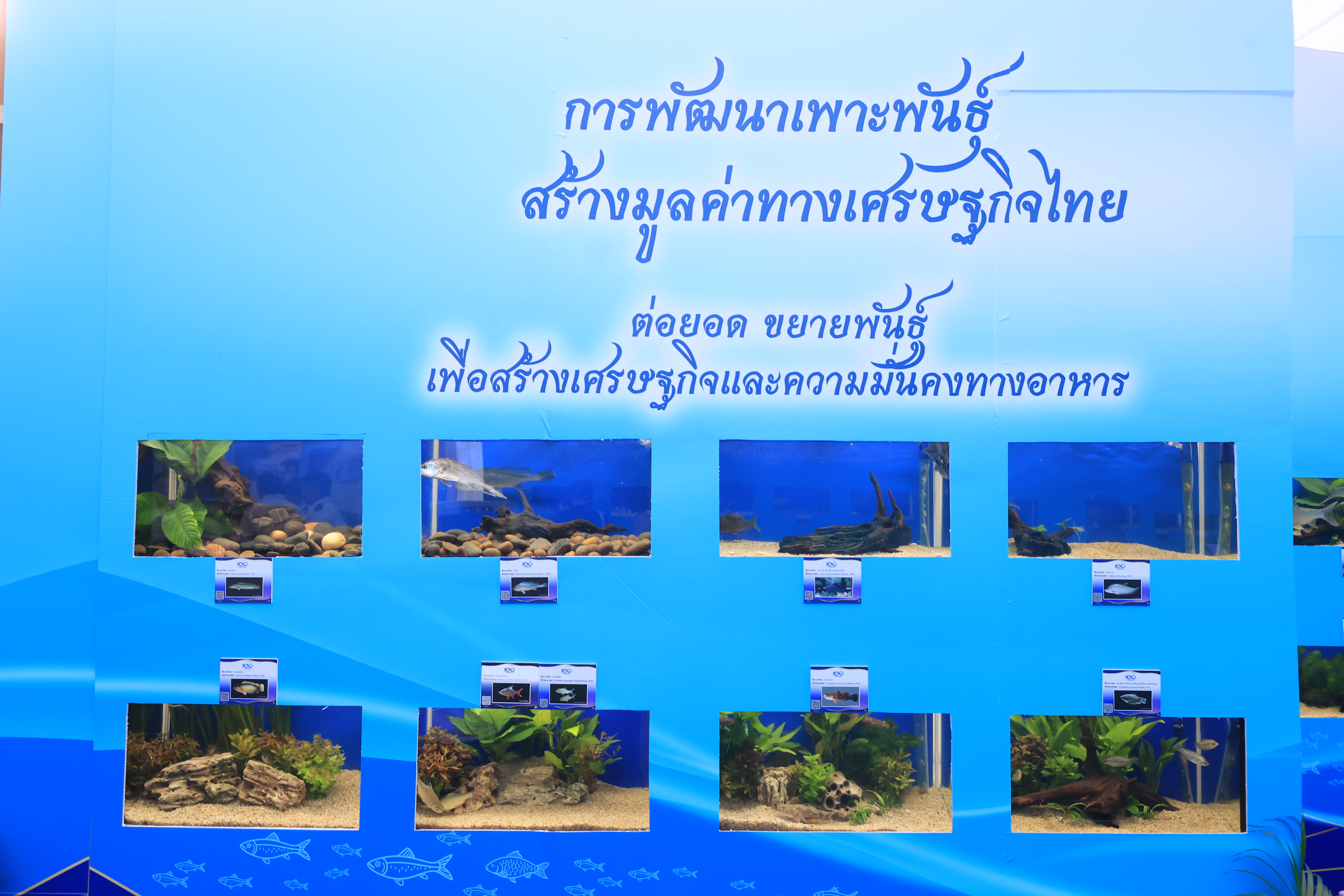 title - สำนักงานการปฏิรูปที่ดินเพื่อเกษตรกรรม ร่วมเฝ้าฯ รับเสด็จ สมเด็จพระกนิษฐาธิราชเจ้า กรมสมเด็จพระเทพรัตนราชสุดาฯ สยามบรมราชกุมารี เสด็จเป็นองค์ประธานเปิดงาน “วันสถาปนากรมประมง ครบรอบ 100 ปี”